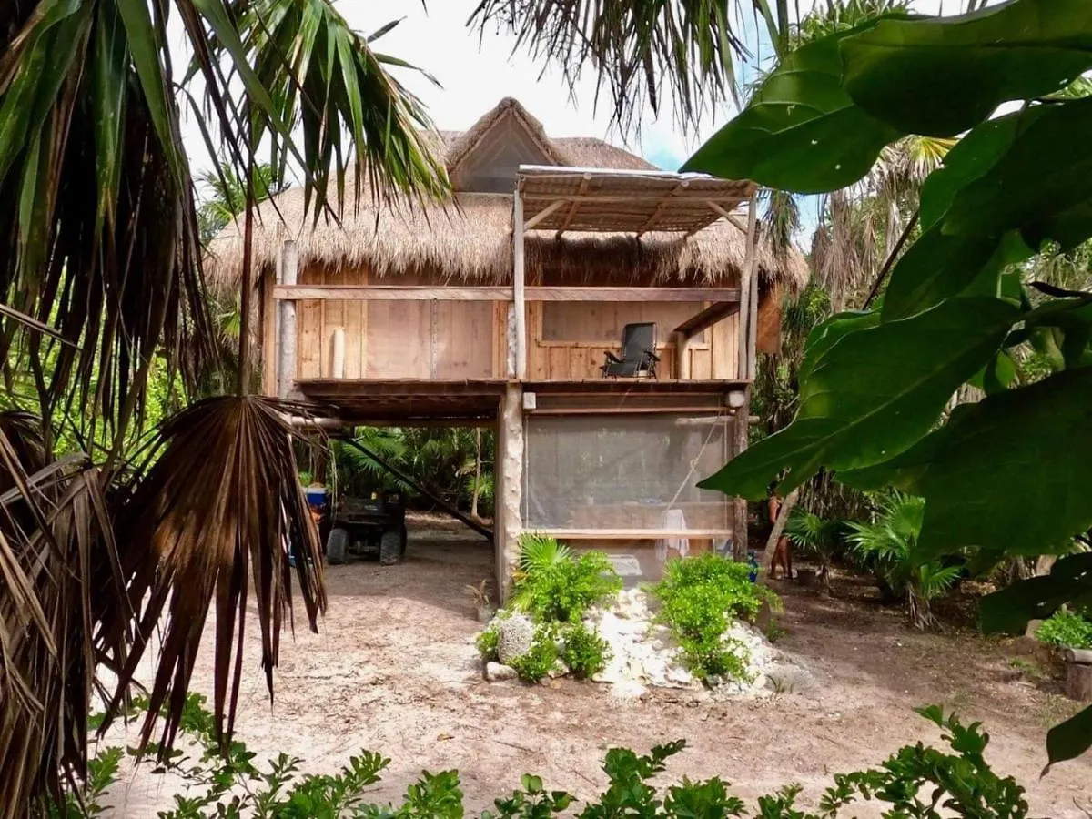 Artisanal Eco Friendly Private Cabin-Casa Ixchel location