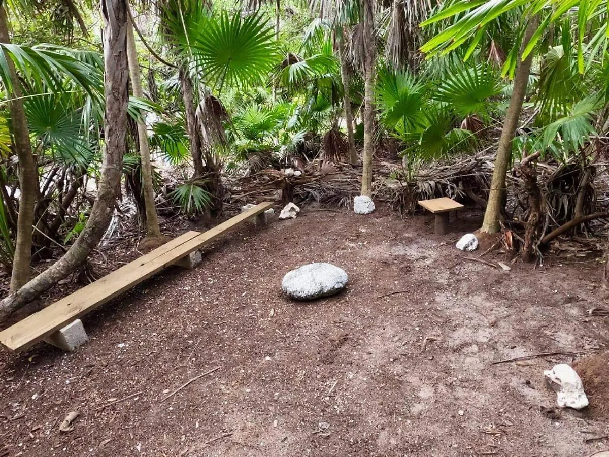 Chalet Artisanal Eco Friendly Private Cabin-Casa Ixchel Villa Cozumel Mexico
