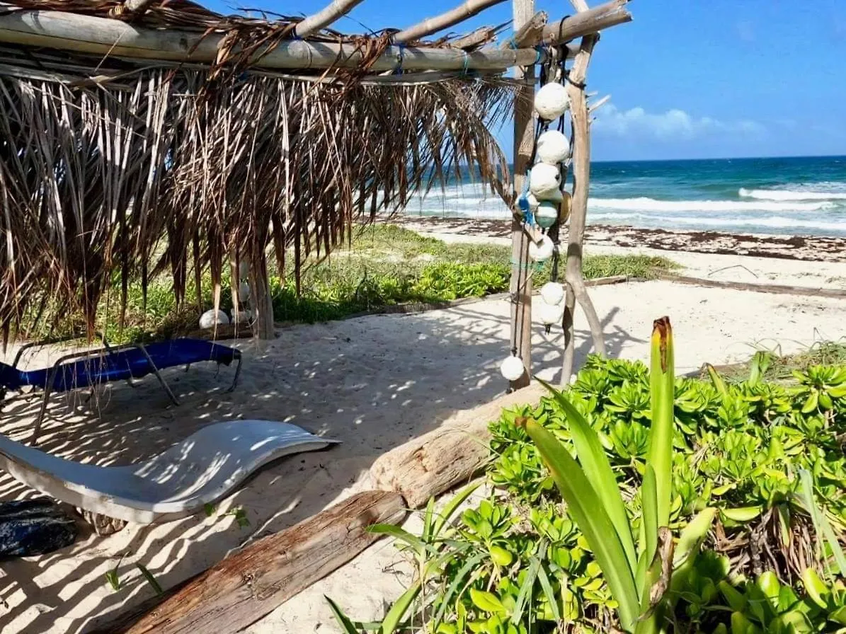 Chalet Artisanal Eco Friendly Private Cabin-Casa Ixchel Villa Cozumel